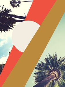 LA Sunshine