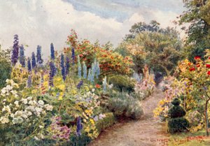Larkspurs by George Samuel Elgood