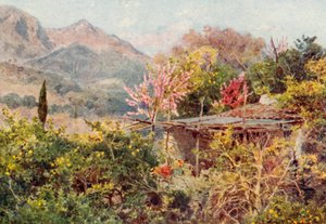 Orange Grove, Mentone