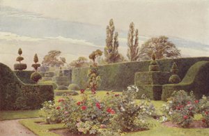 The Rose Garden, Arley by George Samuel Elgood