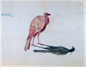 Bird by George Sand