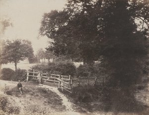 Green Meadows