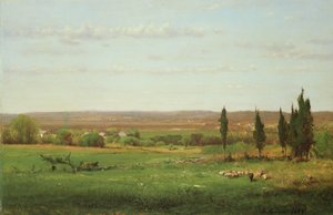 Near Eagleswood