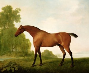 A Bay Thoroughbred in a Landscape by George Stubbs