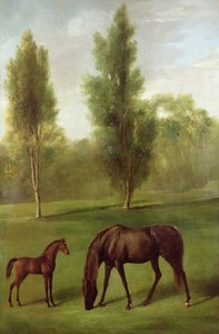 A Chestnut Mare and Foal in a Wooded Landscape, c.1761-63 by George Stubbs