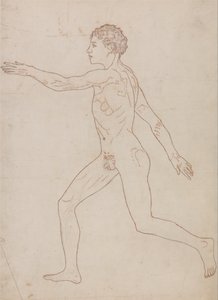 Human Figure, Lateral View (Outline Study in Reverse of Table VIII)