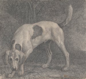 A Foxhound on the Scent by George Stubbs