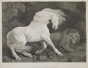 A Horse Affrighted by a Lion, engraved by the artist, pub. 1788 by George Stubbs