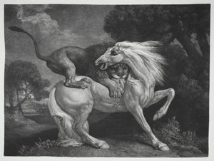 A Horse Attacked by a Lion by George Stubbs