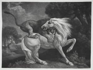 A Horse Attacked by a Lion, 1788 by George Stubbs