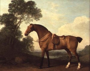 A Saddled Bay Hunter in a Landscape with a Lake Beyond