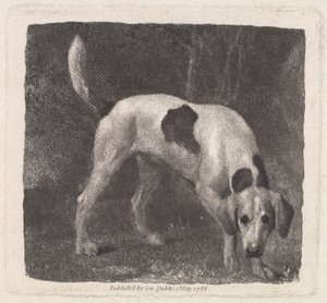 Dog (A Foxhound on the Scent), Engraved by the Artist, pub. 1788 by George Stubbs