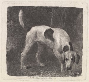 A Foxhound on the Scent by George Stubbs