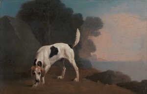 Foxhound on the Scent by George Stubbs