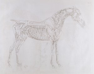 Illustration from 