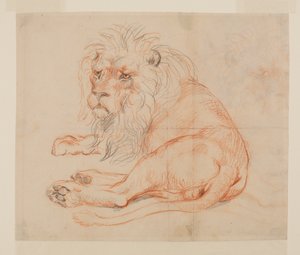 Lion resting, recto, 18th or 19th century by George Stubbs