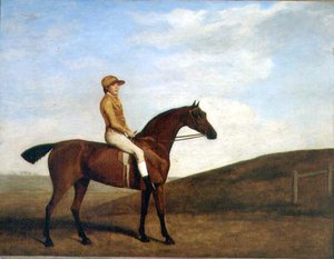 Rosaletta by George Stubbs