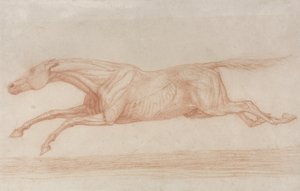 Study of a Racehorse in Action: galloping to the left by George Stubbs