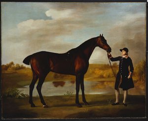 The Duke of Marlborough