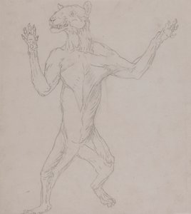 Tiger Body, Standing in Human Posture