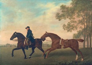 Two Hacks by George Stubbs