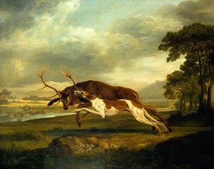 Unknown Image by George Stubbs