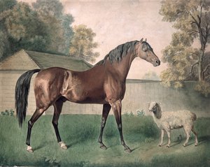 Dungannon by George Townley Stubbs