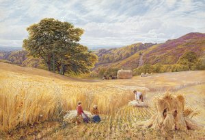 Harvest Time near Holmbury Hill, Surrey, 1865 by George Vicat Cole