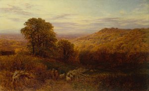 Sunlight Lingering on the Autumn Woods