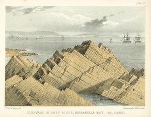 Cleavage in Grey Slate, Ringabella Bay, Co Cork by George Victor Du Noyer