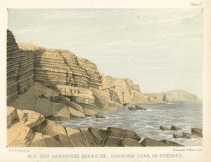 Old Red Sandstone Quarries, Carnivan Head, Co Wexford by George Victor Du Noyer