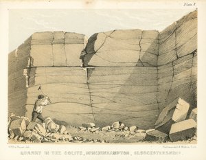 Quarry in the Oolite, Minchinhampton, Gloucestershire by George Victor Du Noyer