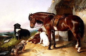 Portraits of Favourites