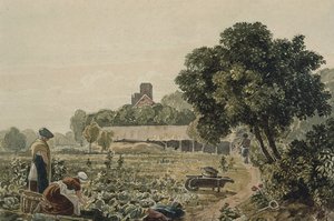 Market Garden at Chelsea by George the Younger Barret