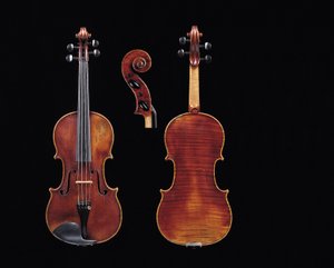 Violin