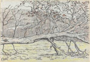 Felled Tree, Normandy