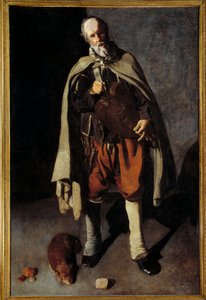 The Old Dog
