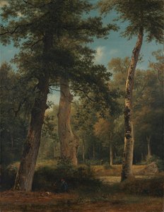 A Forest at Fontainebleau by Georgius Jacobus Johannes van Os
