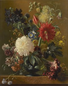 Still Life