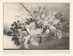 Still Life with Grapes and Chestnuts by Georgius Jacobus Johannes van Os