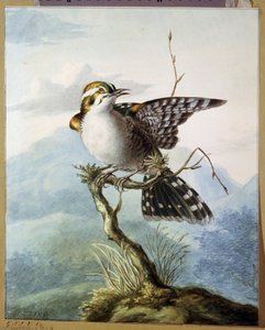 Little Bird by Georgius Jacobus Johannes van Os