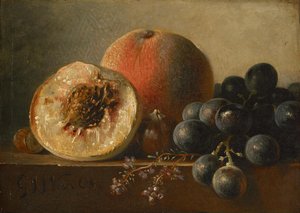 Fruits by Georgius Jacobus Johannes van Os