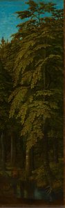 View in a Forest, c.1505-1515