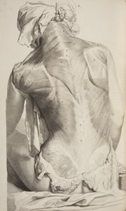 Anatomia Humani Corporis by Govard Bidloo by Gerard de Lairesse