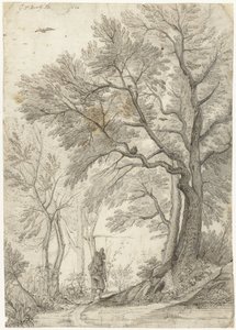 Forest of the Villa Madama outside Rome by Gerard ter Borch