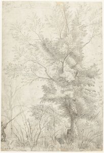 Forest of the Villa Madama Outside Rome, with a Hunter Shooting by Gerard ter Borch