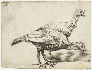 Two Turkeys by Gerard ter Borch (I)