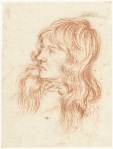 Head of a Young Man Facing Left by Gerard ter Borch (II)