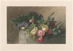 Still Life with Roses and Cabbage Leaf