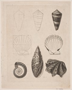 Board with Snails by Gerhard Ludvig Lahde
